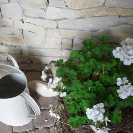 Haus Sonnengarten Apartment *